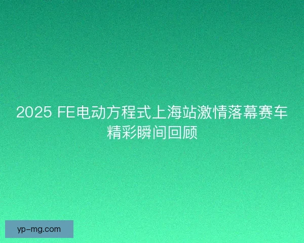 2025 FE电动方程式上海站激情落幕赛车精彩瞬间回顾